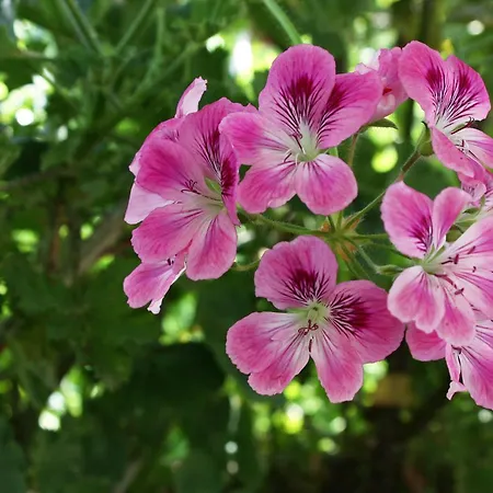 Maison d'hôtes Double 4929a 2*