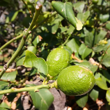 Maison d'hôtes Double 4929a Pomena