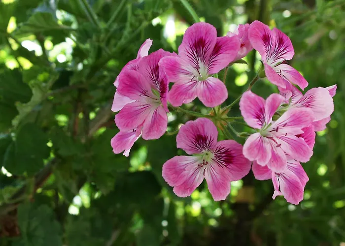 Maison d'hôtes Double 4929a 2*