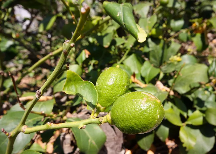 Maison d'hôtes Double 4929a Pomena